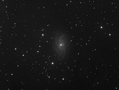 NGC 2336